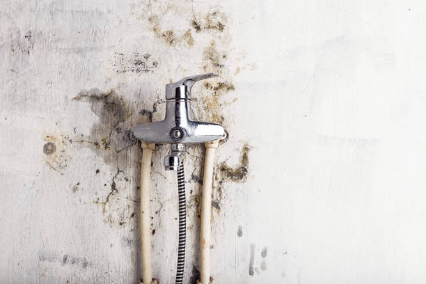 Best Mold Remediation  in Corning, CA