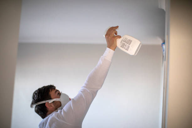 Best Same-Day Mold Removal  in Corning, CA