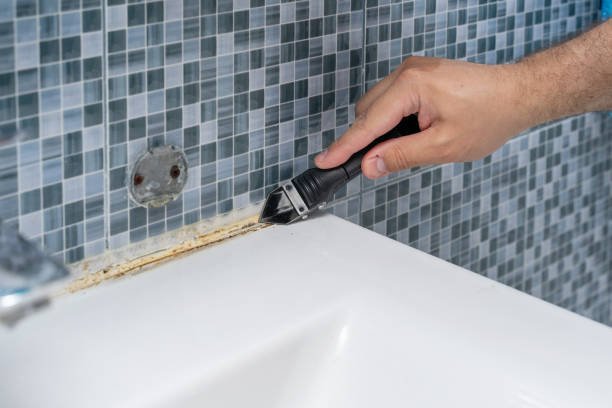 Best Toxic Mold Removal  in Corning, CA